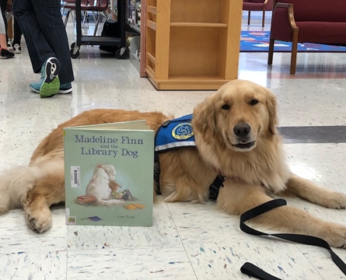 Dog named Patriot at Anderson Elementary
